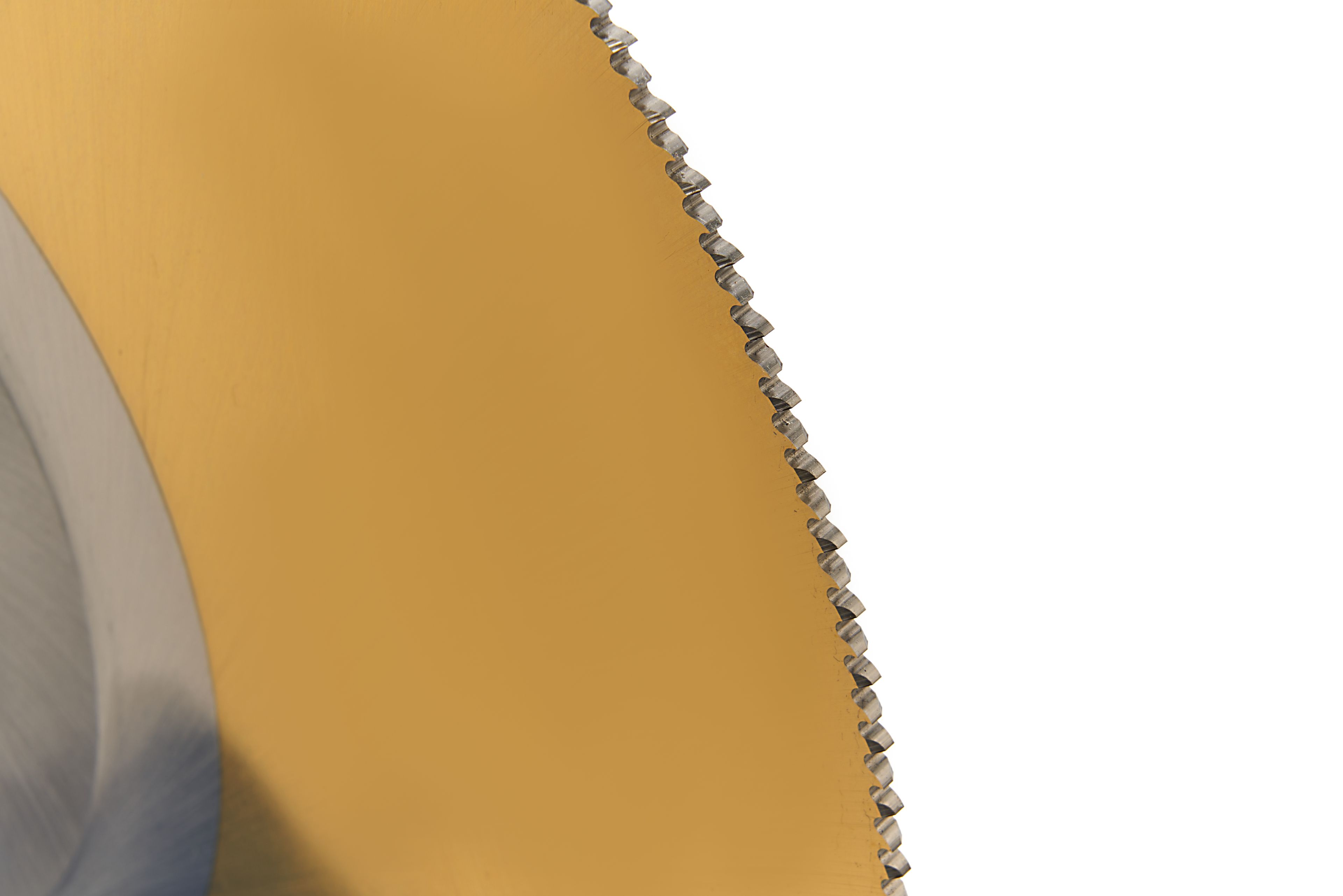 HBM Lame per troncatrice 315 mm acciaio inox | 300 Denti Image 3