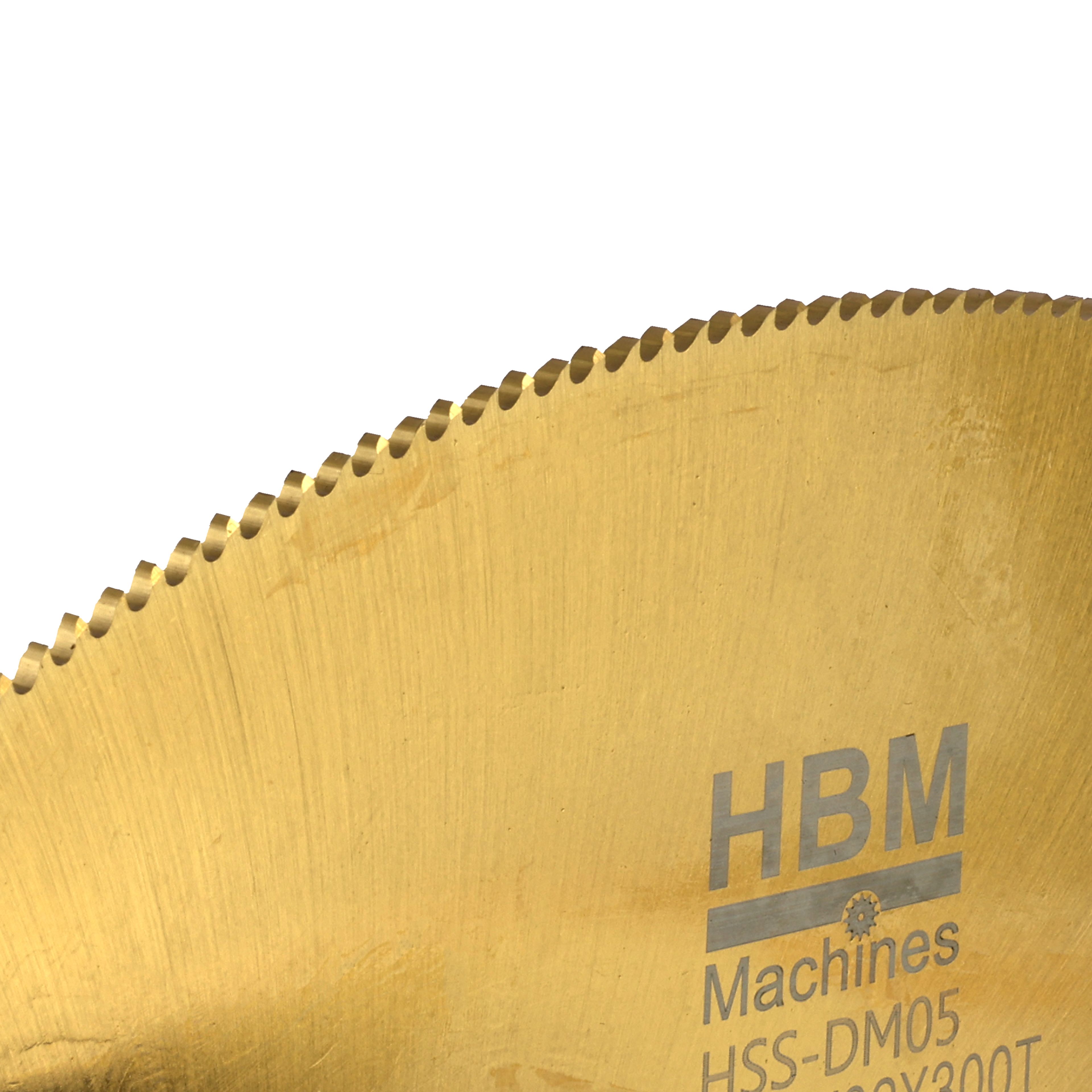 Lames de scie HBM 315 mm | acier inoxydable | 300 dents Image 3