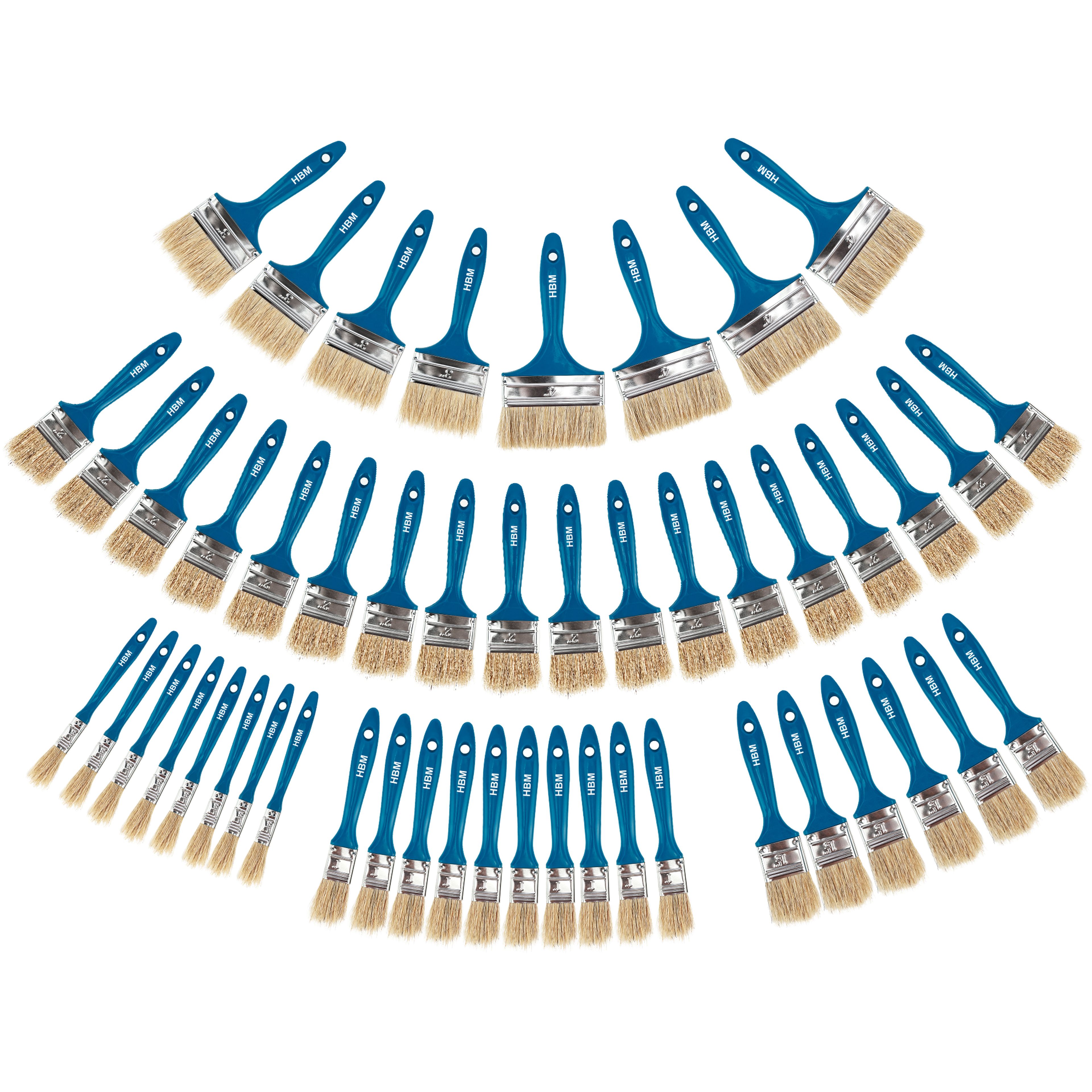 HBM 50 Delige Wegwerp Schilders Verfkwasten Set