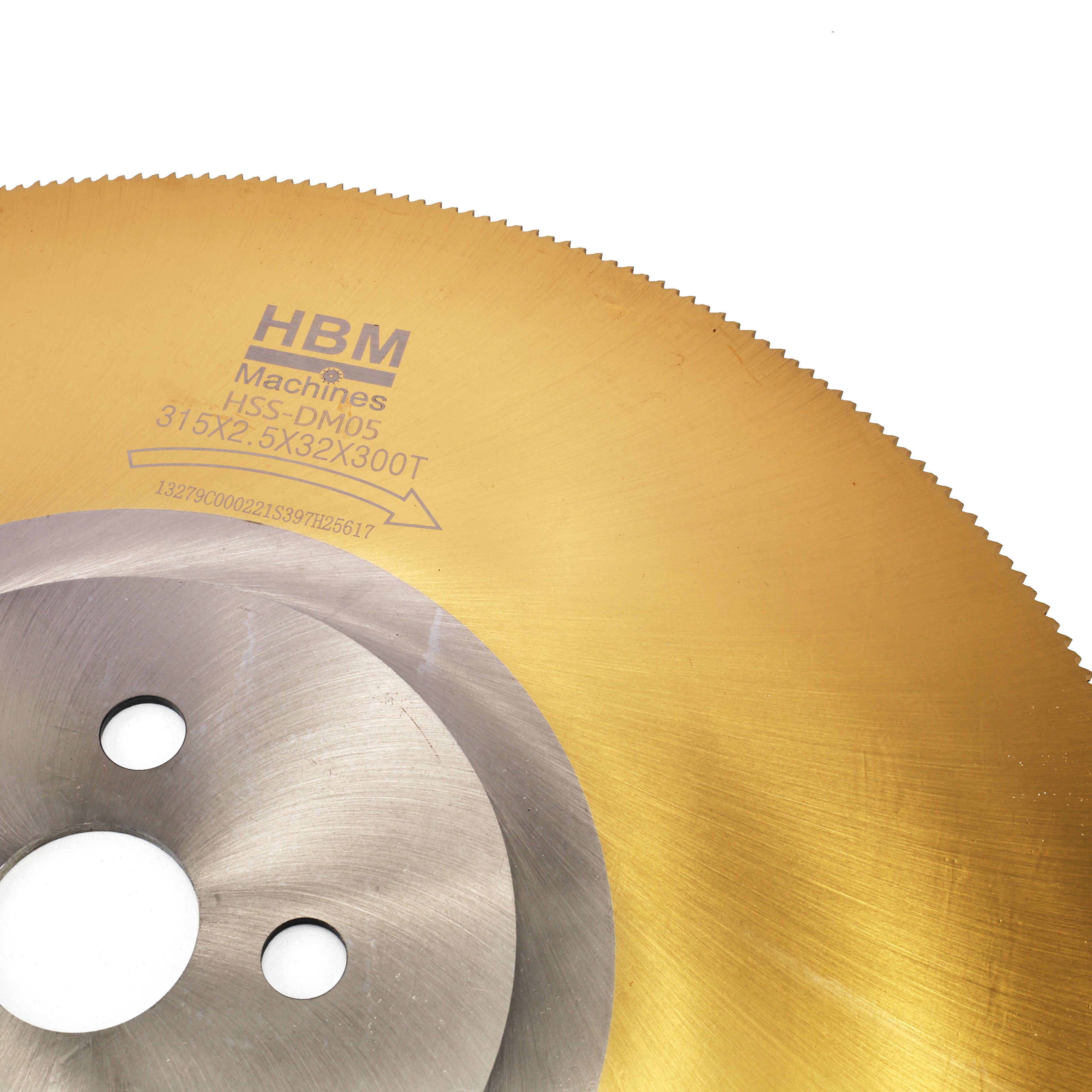 Lames de scie HBM 315 mm | acier inoxydable | 300 dents Image 2