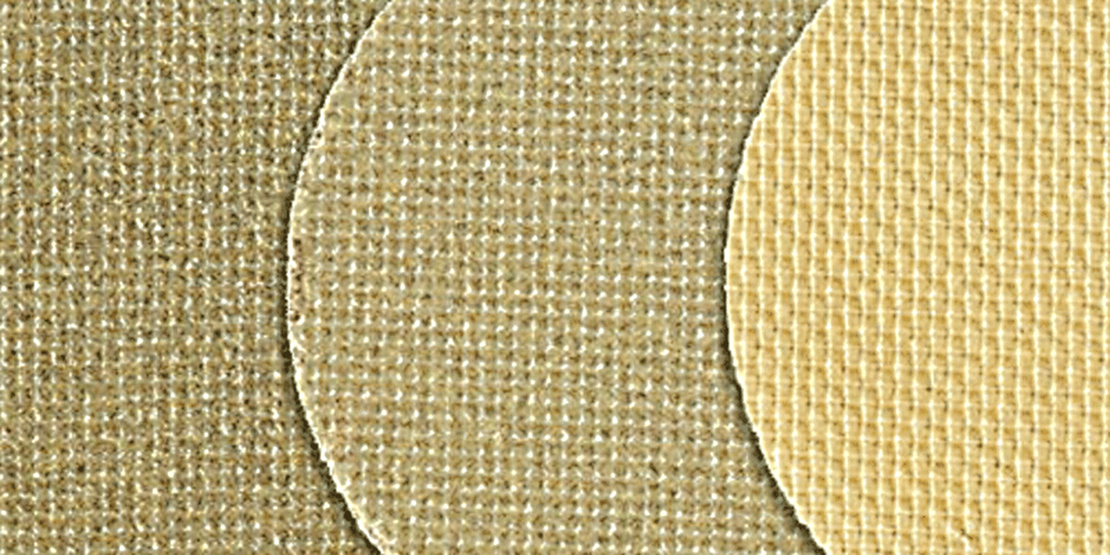 Proxxon diamant schuurpad set korrel 60 tot 3000, 50mm Image 2