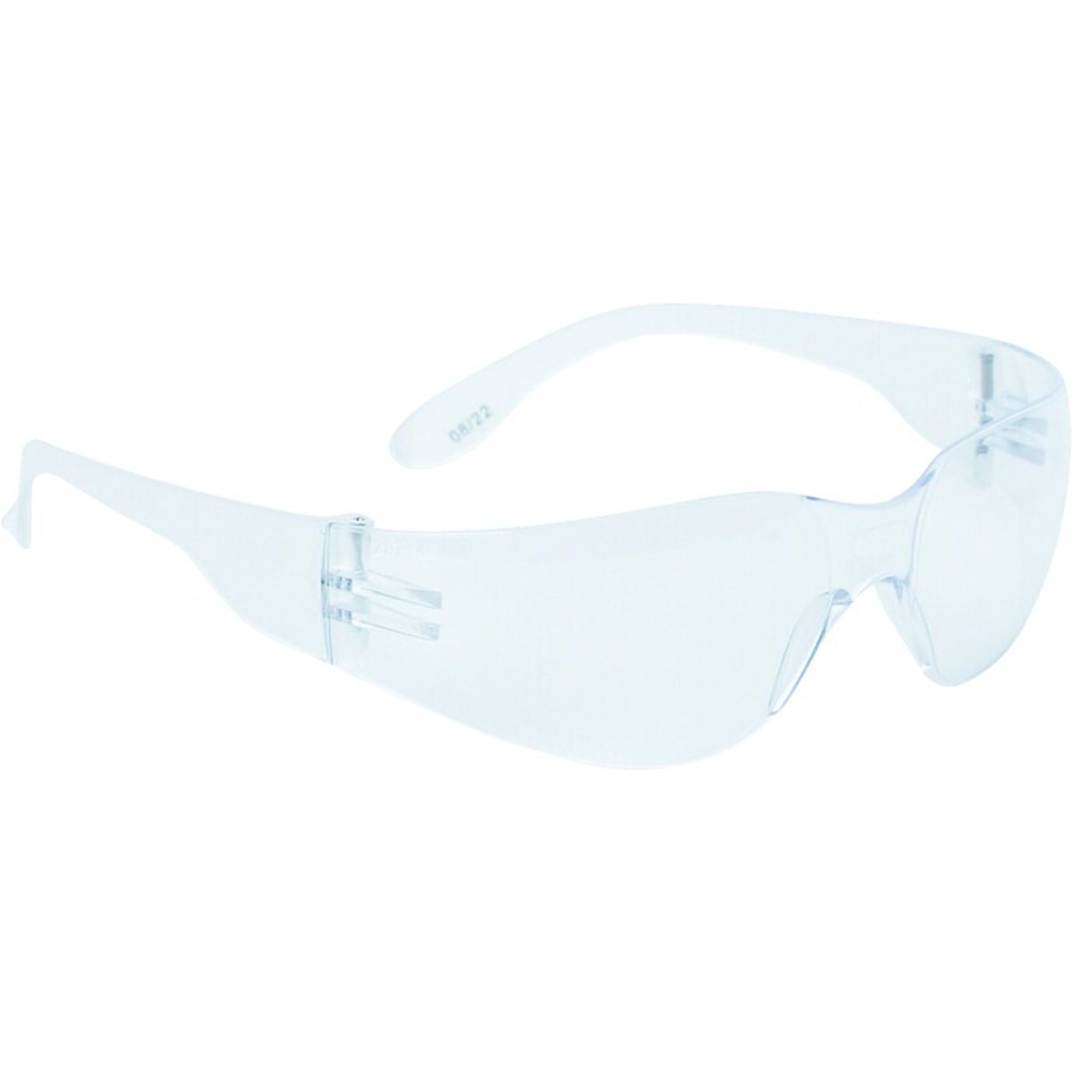 Delta Plus Schutzbrille BRAV2IN